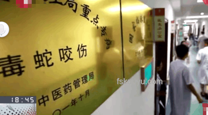 女子疑被蛇咬死家属应对指南：了解尸检重要性及流程